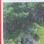 गुहा, गुहालेख, गुहाचित्र एवं अन्य सम्पदा